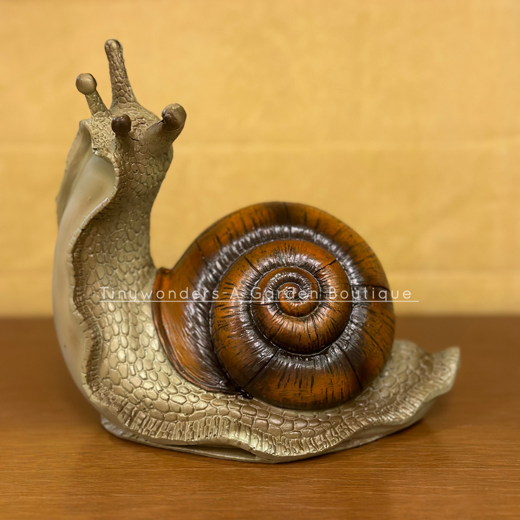 Snail Home & GardenDecor ( Per Unit ) Random Colour