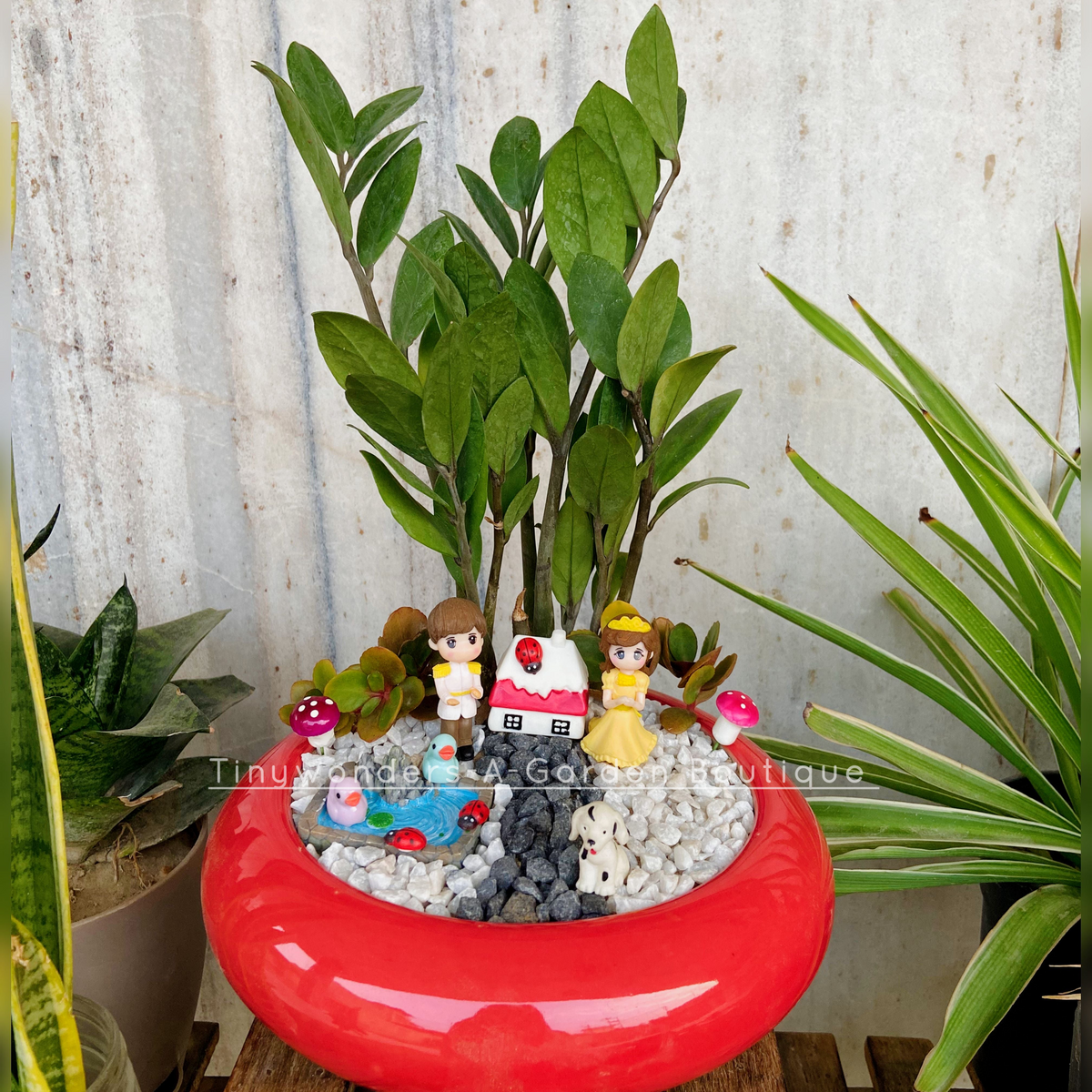 Indoor Plant Tray Garden