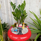 Indoor Plant Tray Garden