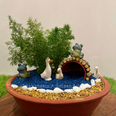 Mothers love tray garden