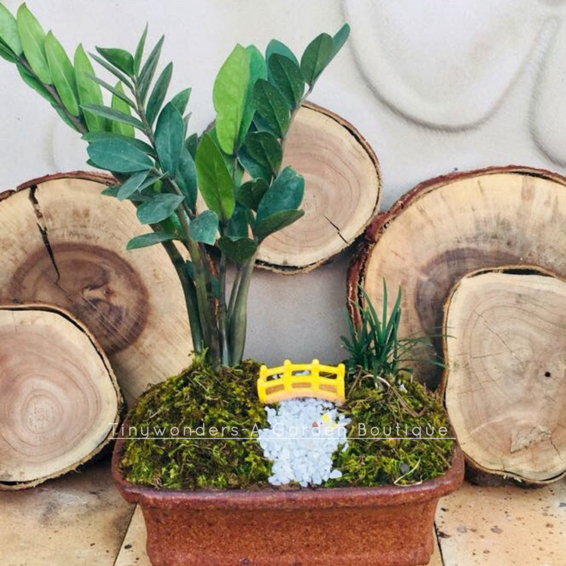 Indoor tray garden