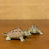 #386 Miniature Turtle Big New (PER UNIT)