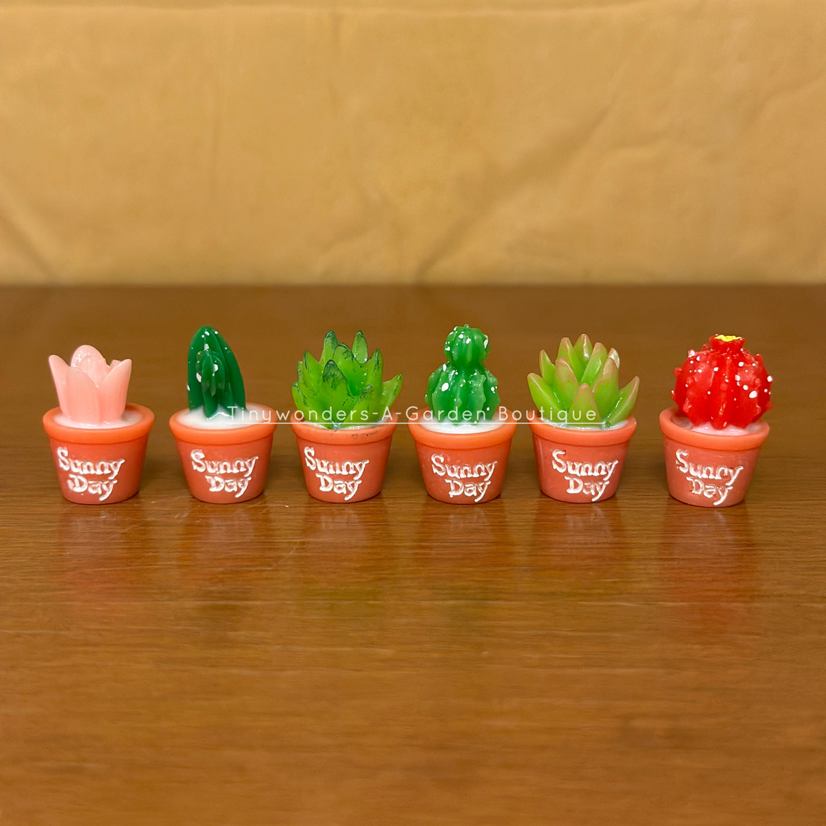 #457 Cactus (Set of 6)