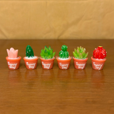 #457 Cactus (Set of 6)