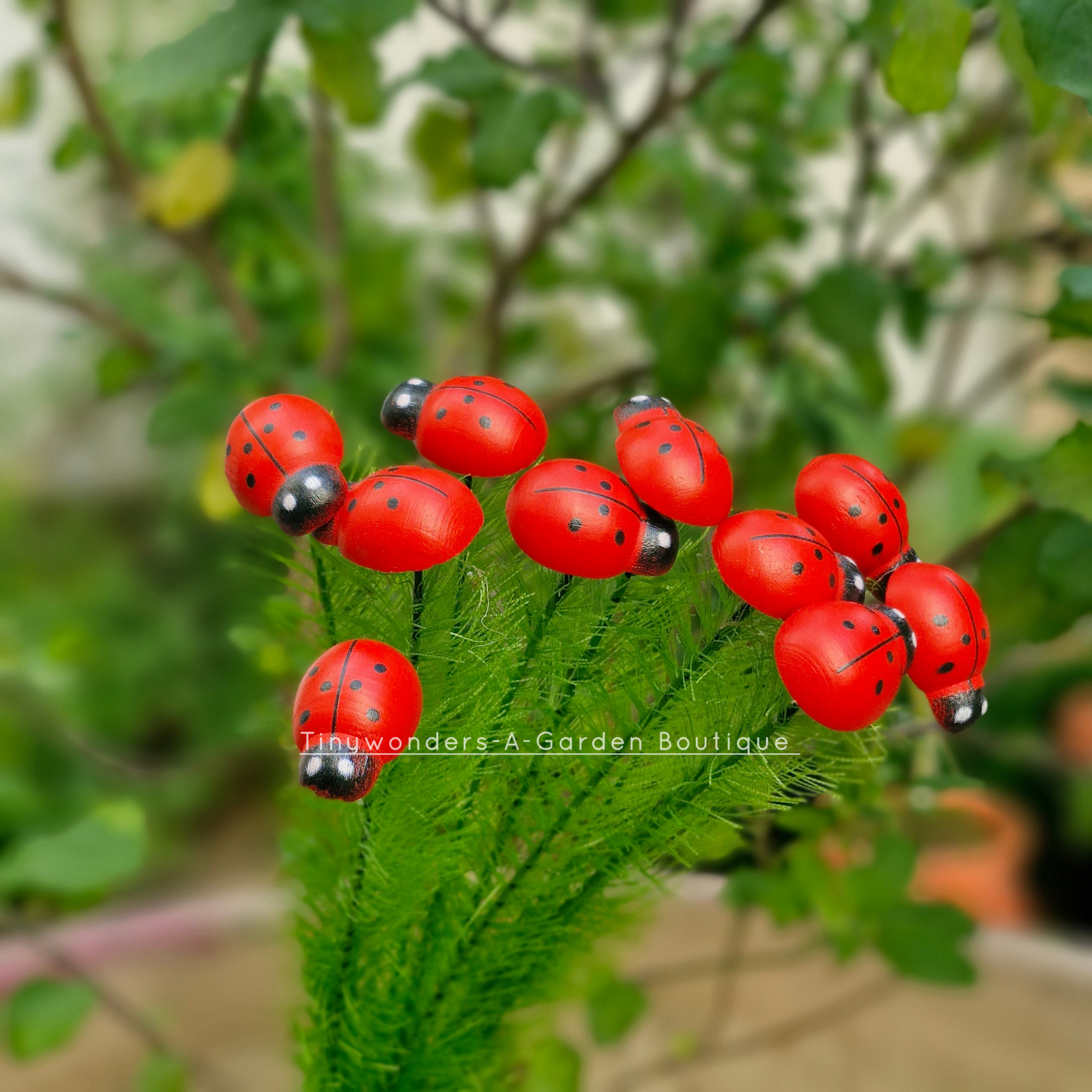 #S59 Lady Bug Stick ( Set Of 10 )