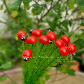 #S59 Lady Bug Stick ( Set Of 10 )