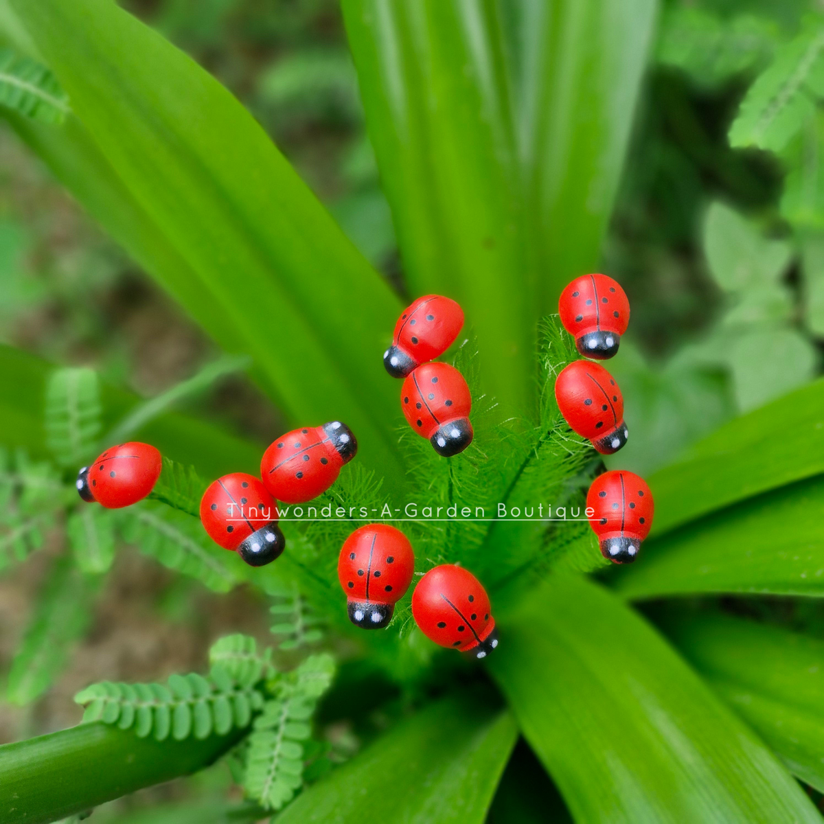 #S59 Lady Bug Stick ( Set Of 10 )