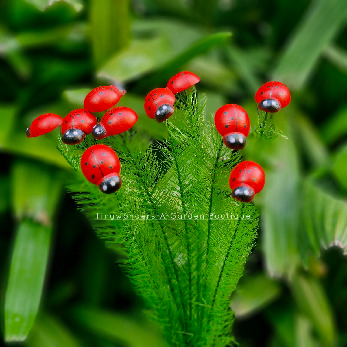 #S59 Lady Bug Stick ( Set Of 10 )