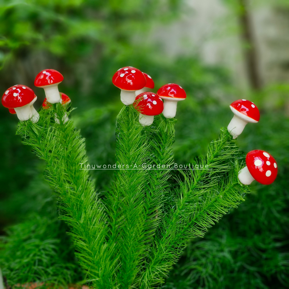 #S58 mushroom sticks ( set Of 10 )