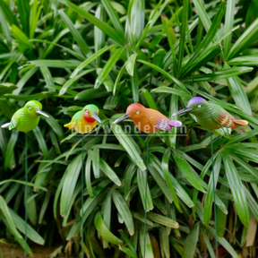 #S65 Humming Bird Sticks /Stakes (Random Colour)