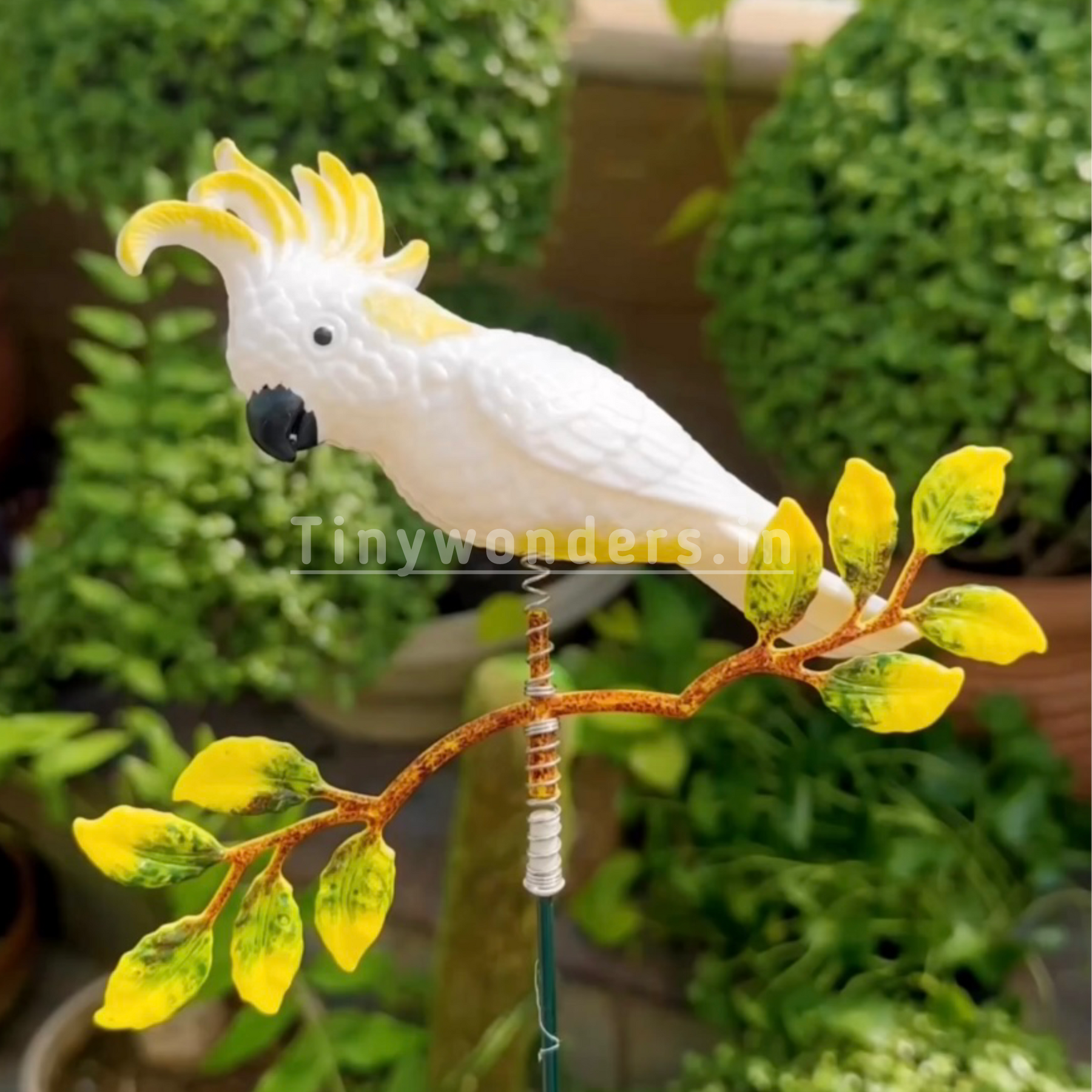#S02 Beauteous Cockatoo ( Set Of 2)