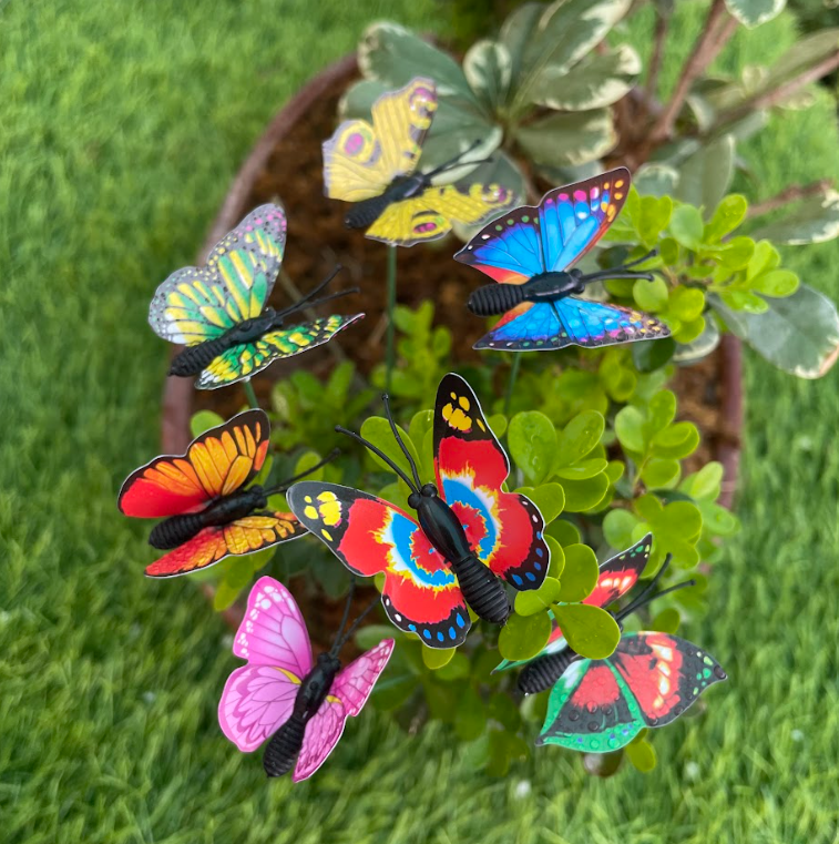 #379 small Butterfly ( Set Of 5 )