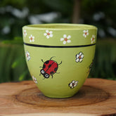 Lady Bug Terracotta Pot