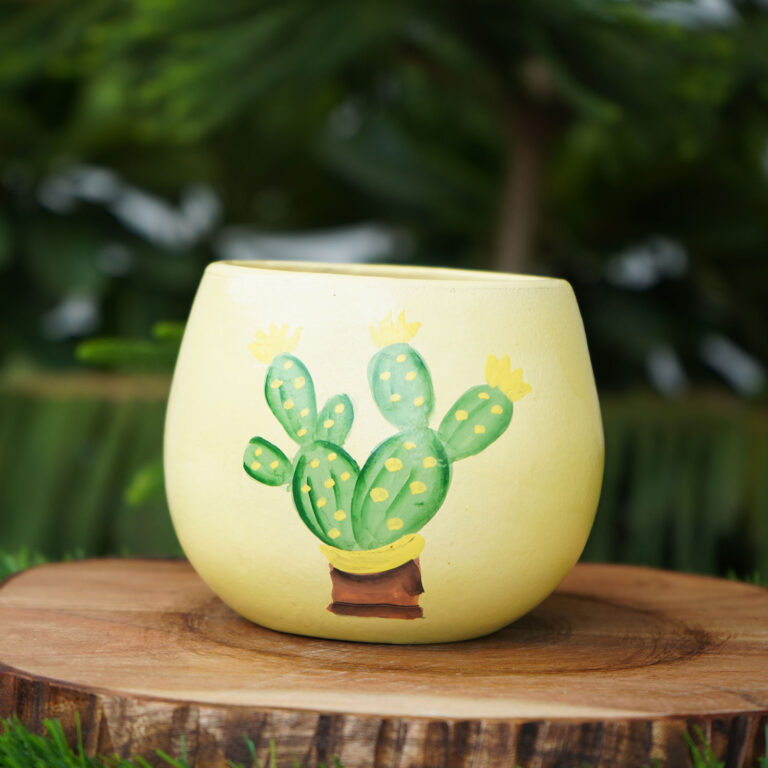 Cactus Small Terracotta Pot