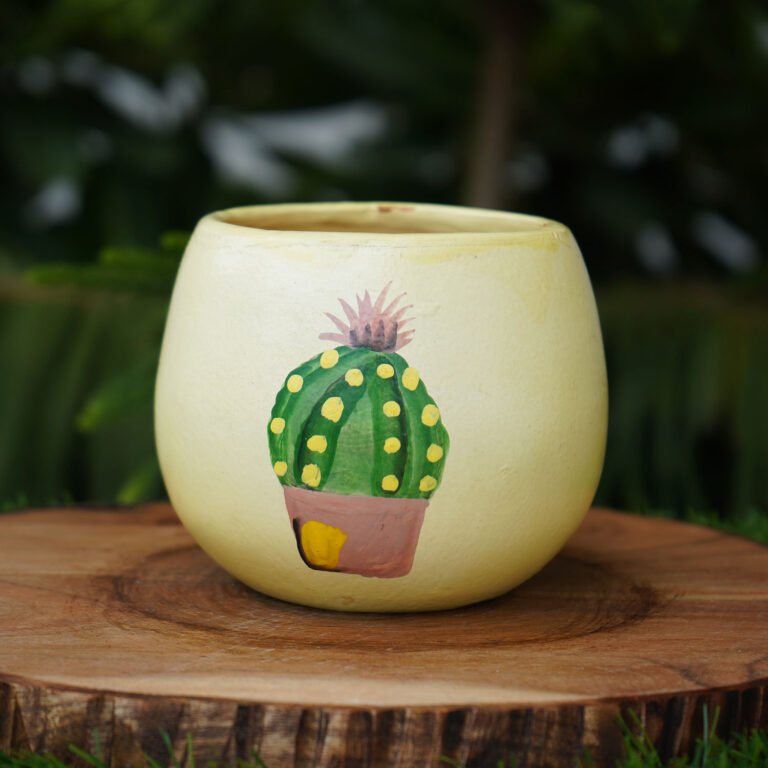 Cactus Medium Terracotta Pot