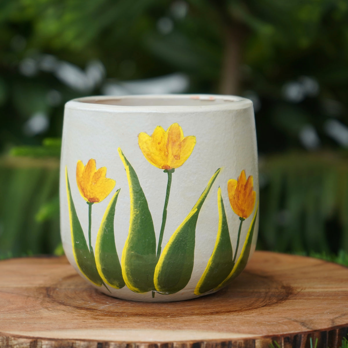 Tulip Terracotta planters