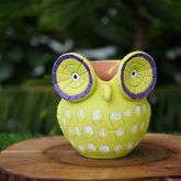 Yellow Owl Terracotta Pot