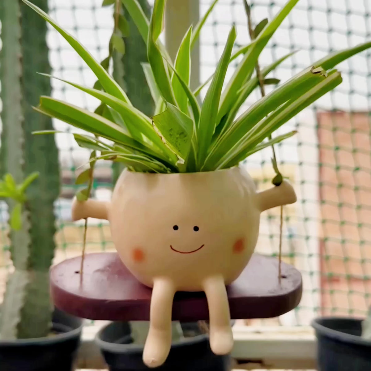 Swing smiley planter