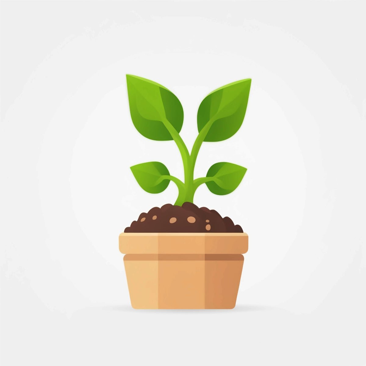 Planter